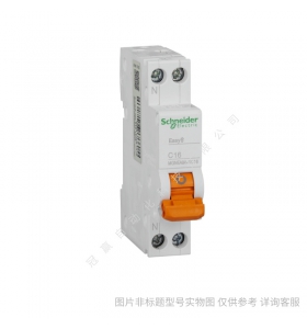 施耐德小型斷路器iC65N 2P C63A/schneider全系列產(chǎn)品