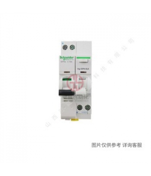 施耐德EA9R剩余電流動作保護斷路器2PC50A/30mA/AC類EA9RN2C5030C